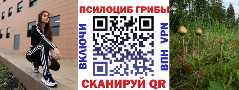гидра   Нижний Ломов  Псилоцибиновые грибы ЛСД  купить наркотики цена 